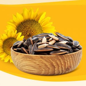 半日閑焦糖山核桃五香味500g*4袋瓜子 炒貨堅(jiān)果OEM代加工