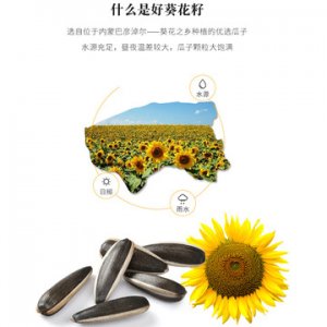 玉米瓜子貼牌定制代加工