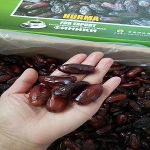伊朗休閑零食黑椰棗OEM/ODM