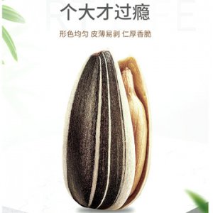 葵瓜子貼牌OEM/ODM