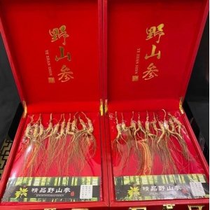 長白山人參15年林下參代加工貼牌OEM/ODM