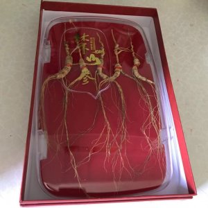 長白山人參15年林下參貼牌OEM/ODM