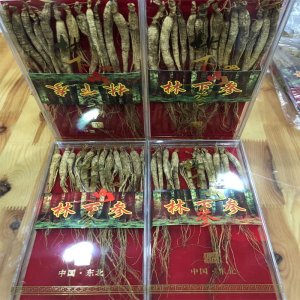 東北吉林長白山特產(chǎn)小林下參貼牌OEM/ODM