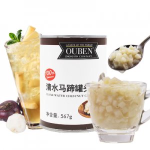 馬蹄罐頭OEM/ODM定制代加工