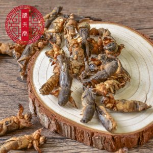 亳州市源升堂藥業(yè)有限公司