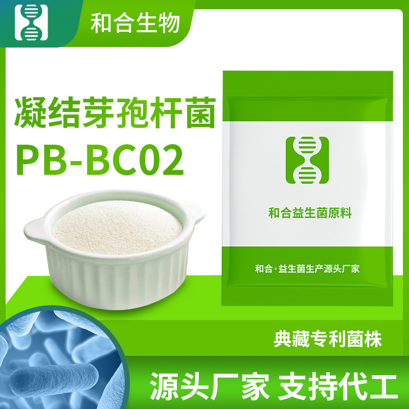 凝結(jié)芽孢桿菌貼牌OEM/ODM