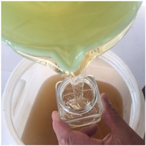 槐花蜜 蜂蜜250g可OEM/ODM代工