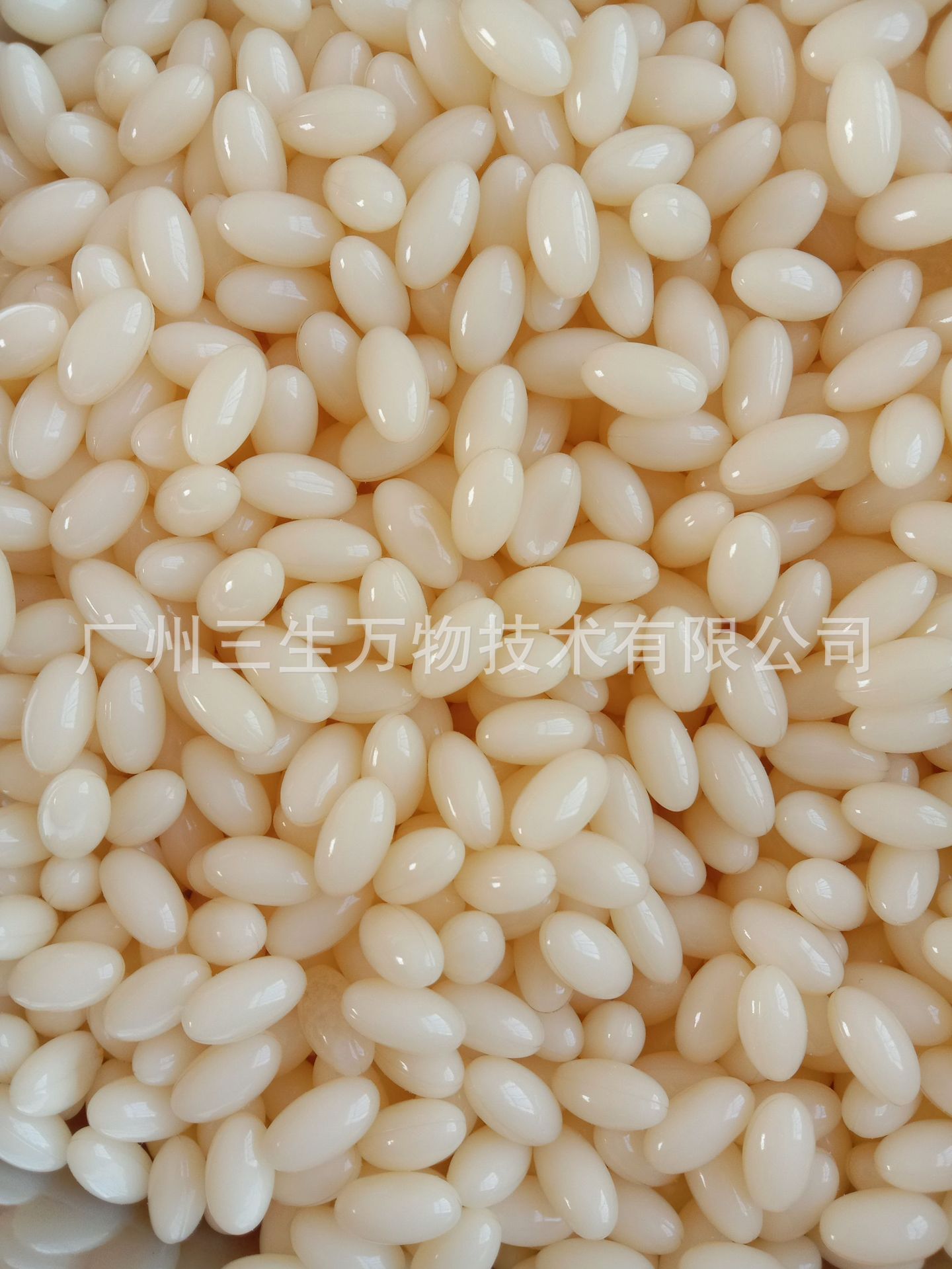 椰子油軟膠囊代加工貼牌OEM/ODM