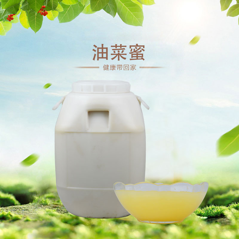 油菜花土蜂蜜貼牌定制代加工