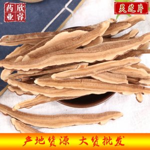 靈芝片OEM代加工