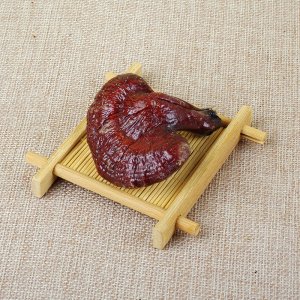 云南靈芝貼牌OEM/ODM