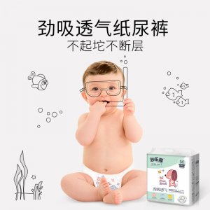 廣東樂臣衛(wèi)生用品有限公司