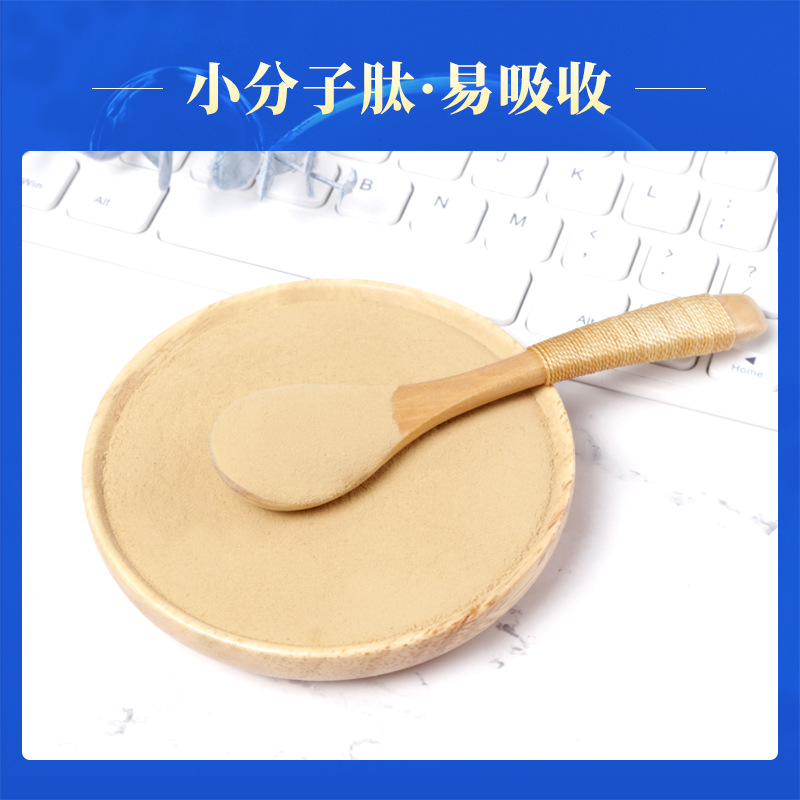 低聚肽小分子肽活性肽馬齒莧低聚肽粉貼牌定制代加工