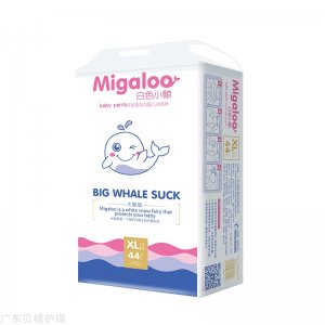 廣東貝禧護(hù)理用品有限公司