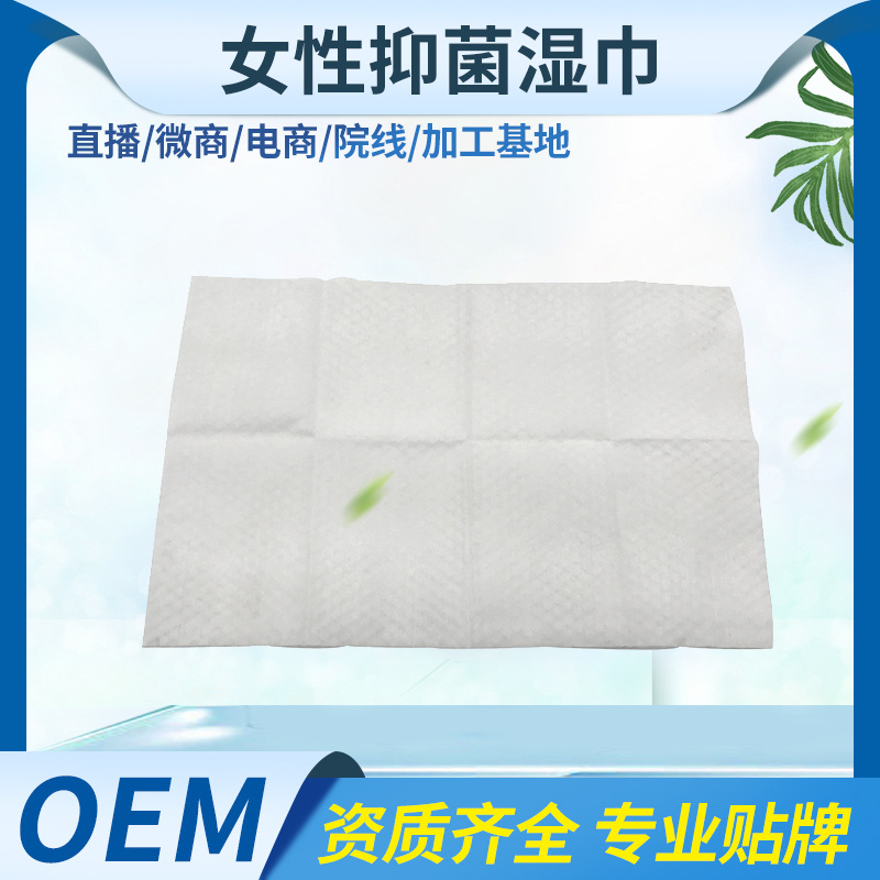 私處清潔護(hù)理濕巾貼牌定制代加工