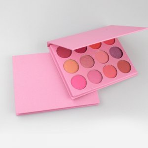 不飛粉12色彩妝眼影OEM/ODM定制代加工