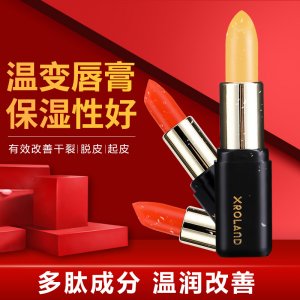 素E滋潤紅櫻桃胡蘿卜素溫變口紅貼牌OEM/ODM