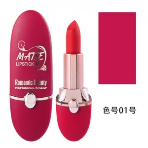 跨境專供歐美時尚圓管啞光口紅代加工貼牌OEM/ODM