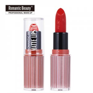歐美時尚圓管啞光口紅貼牌OEM/ODM