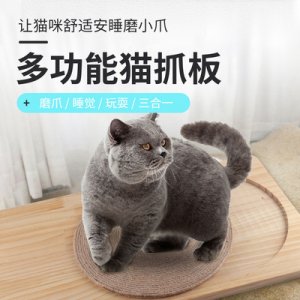 徐州南臺子寵物用品有限公司