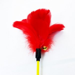 邢臺(tái)達(dá)文箱包有限公司