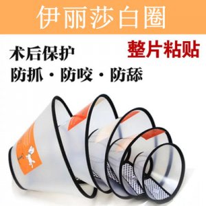 伊麗莎白圈狗狗貓項(xiàng)圈可OEM/ODM代工