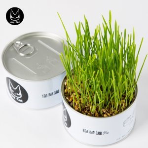 無(wú)土栽培懶人貓草罐頭代加工貼牌OEM/ODM