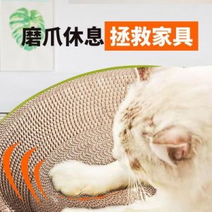 雞澤縣貝樂(lè)寵物飼料有限公司