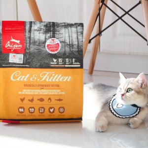 貓糧愛貓雞肉OEM/ODM代加工