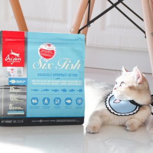 六種魚海藻全貓糧OEM/ODM定制代加工