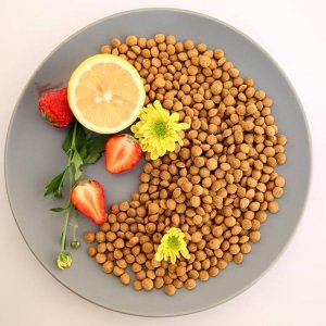 高營養(yǎng)狗糧OEM代加工