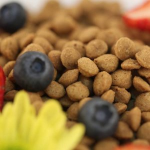 貝可恩營養(yǎng)犬糧代加工貼牌OEM/ODM 貝可恩營養(yǎng)犬糧代加工貼牌OEM/ODM