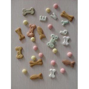 煙臺麥瑞寵物食品有限公司