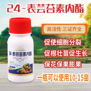 蕓苔素內(nèi)酯水劑0.01%植物生長調(diào)節(jié)劑貼牌OEM/ODM