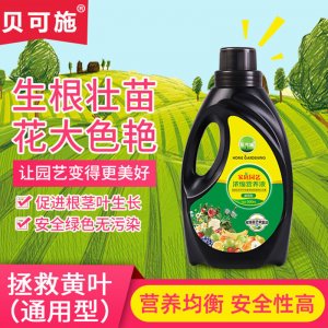 植物花卉營養(yǎng)液 花肥料貼牌OEM/ODM