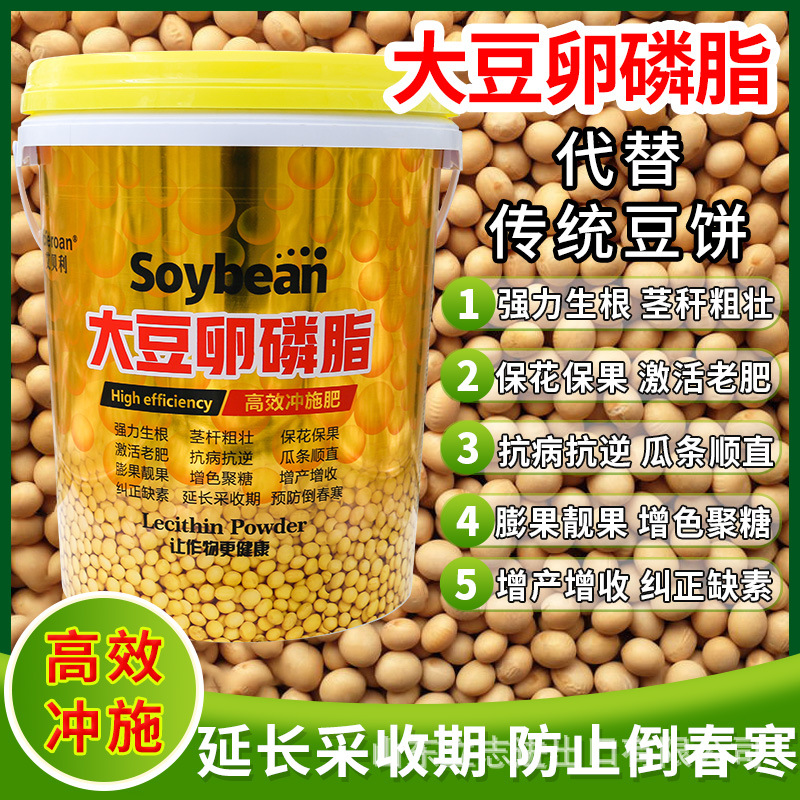 山東立志進(jìn)出口有限公司