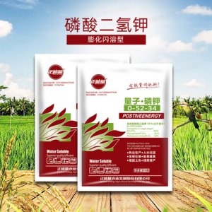 膨化閃溶 磷酸二氫鉀葉面肥OEM/ODM定制代加工