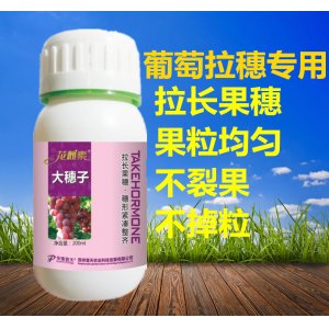 華豫普天大穗子OEM代加工