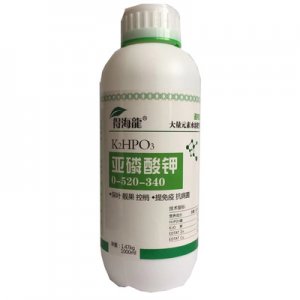 濰坊康恩地生物技術(shù)有限公司