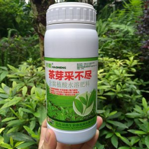 茶葉催芽劑OEM代加工 茶葉催芽劑OEM代加工