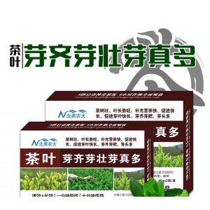 茶葉芽齊芽壯芽真多貼牌OEM/ODM