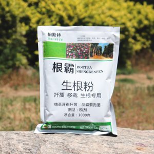 根霸快速生根粉貼牌OEM/ODM