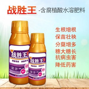 戰(zhàn)勝王特效型葉面肥貼牌OEM/ODM