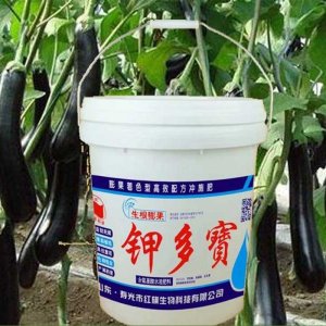 壽光市紅旗生物科技有限公司