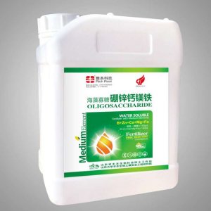 山東豐本生物科技股份有限公司