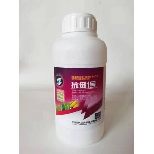 抗倒1號貼牌定制代加工