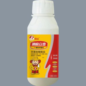 喜百農(nóng)潰腐立變 柑橘橙子桃潰瘍病專(zhuān)用殺菌劑代加工貼牌OEM/ODM