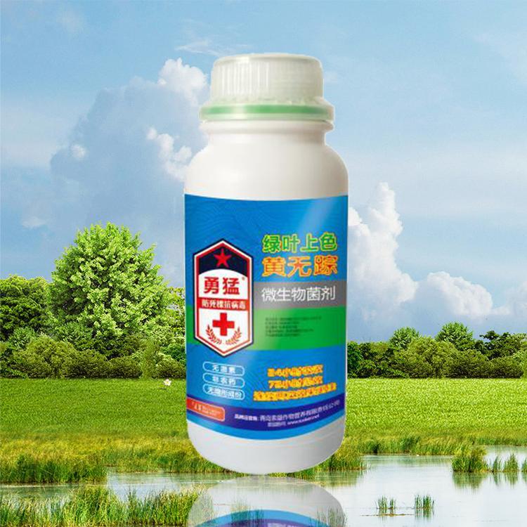 勇猛綠色上色微生物菌劑貼牌OEM/ODM