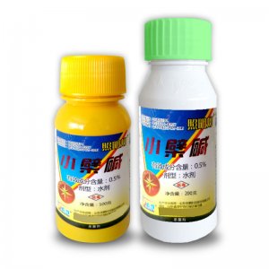 山東圣鵬科技股份有限公司