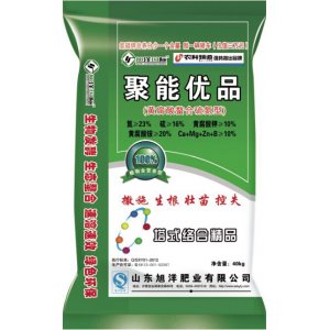 山東旭洋肥業(yè)有限公司